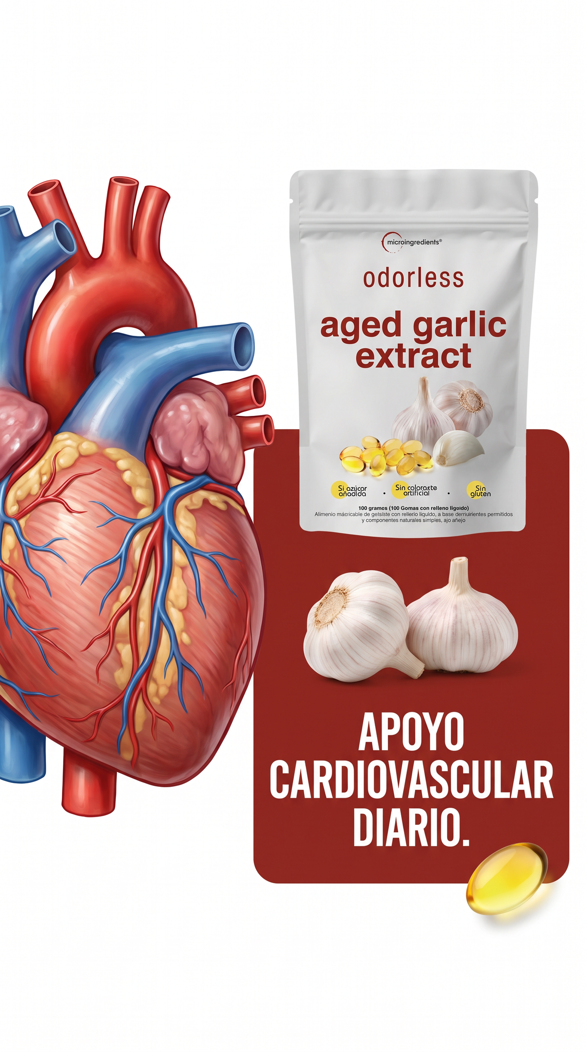 Apoyo cardiovascular diario